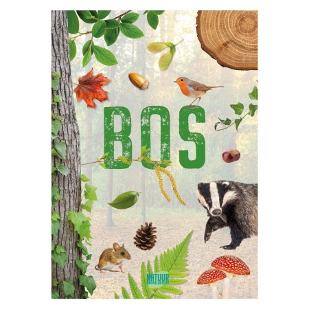 In het bos - Natuuronderzoekers Claire Sipi