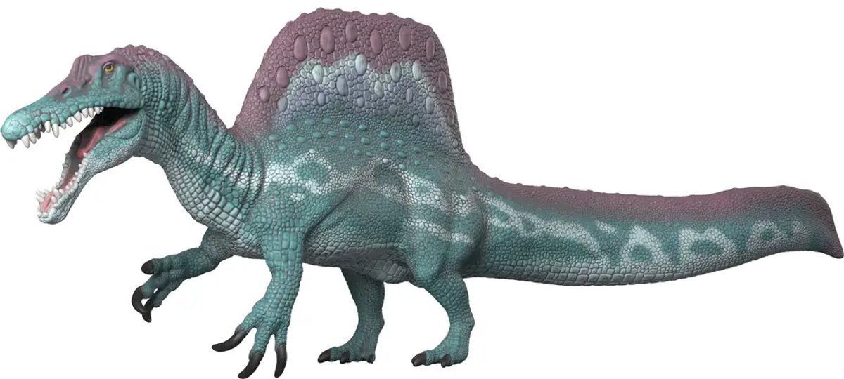 1200x540