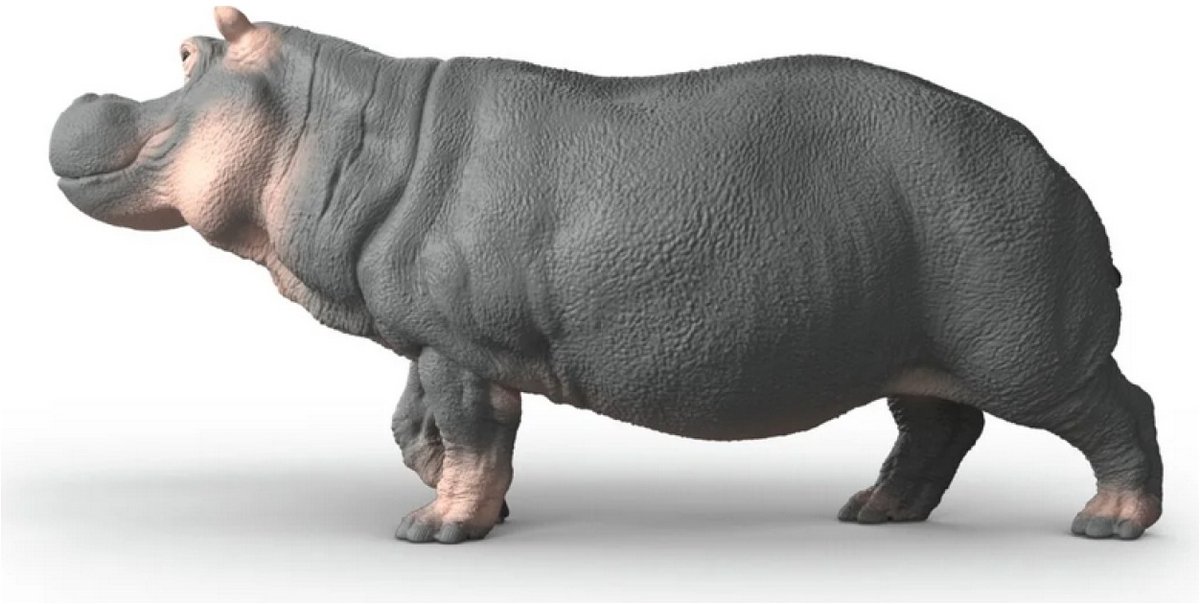 1200x604