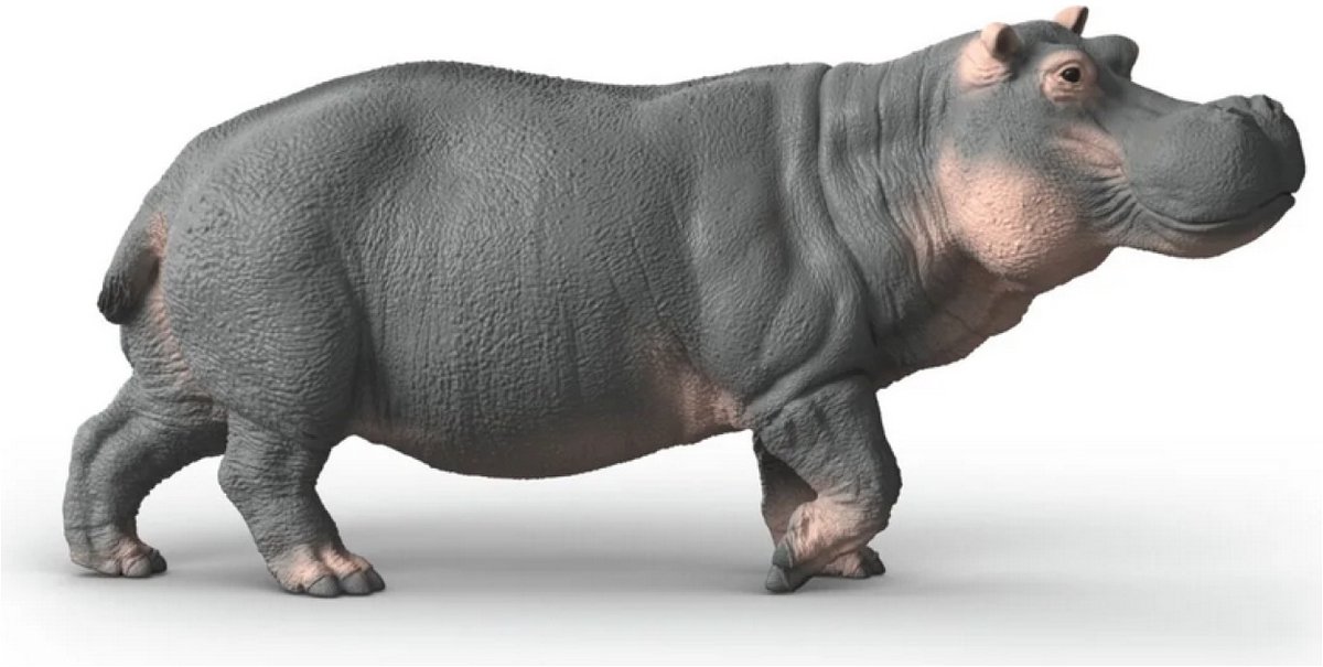 1200x605-1