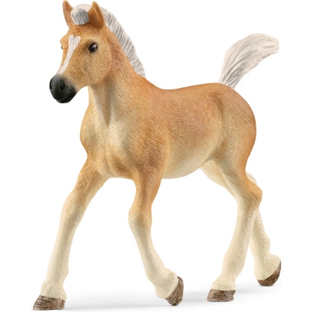 schleich HORSE CLUB - Haflingerveulen - 13951 |